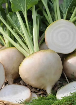 Detroit White Beet – 200 Seeds