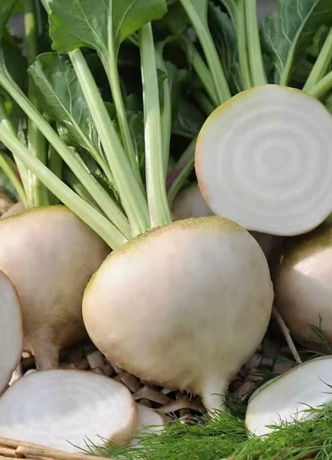 Detroit White Beet – 200 Seeds