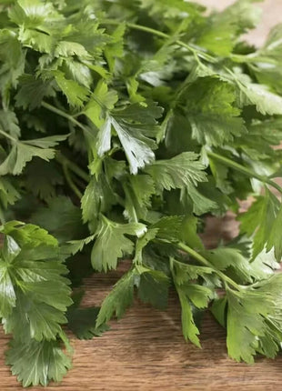 Cutting Celery – 200 Seeds