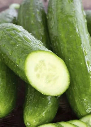 Beit Alpha Cucumber – 30 Seeds
