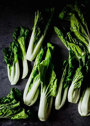 Canton Pak Choi – 100 Seeds