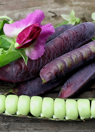Royal Snap II Peas – 20 Seeds