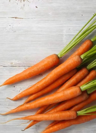 Imperator 58 Carrot – 250 Seeds