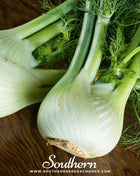 Florence Fennel – 200 Seeds