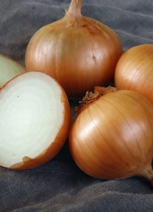 Walla Walla Onion – 200 Seeds