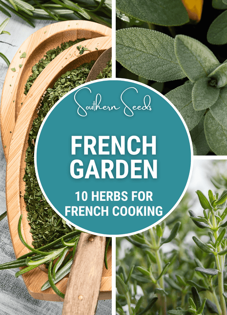 French Garden Seed Collection – 10 Varieties