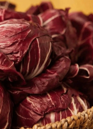 Palla Rossa Radicchio – 100 Seeds