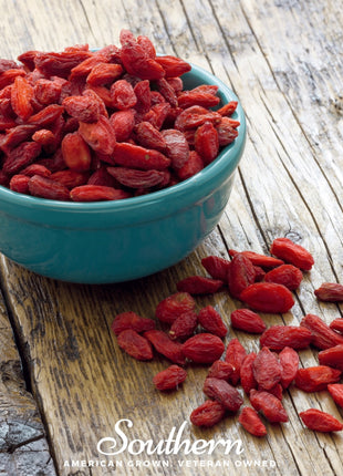 Goji Berry – 50 Seeds