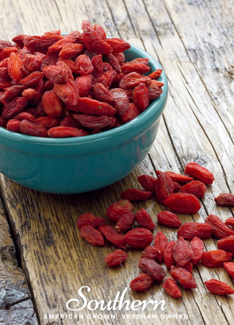 Goji Berry – 50 Seeds