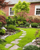 Green Carpet Rupturewort – 100 Seeds