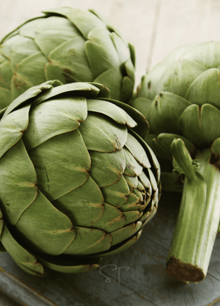 Green Globe Artichoke – 25 Seeds