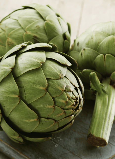 Green Globe Artichoke – 25 Seeds