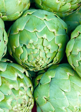 Green Globe Artichoke – 25 Seeds