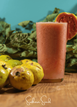 Guava – 25 Seeds