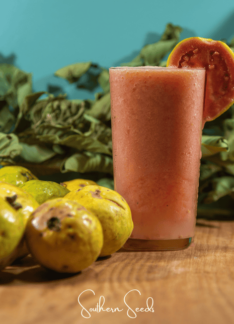 Guava – 25 Seeds