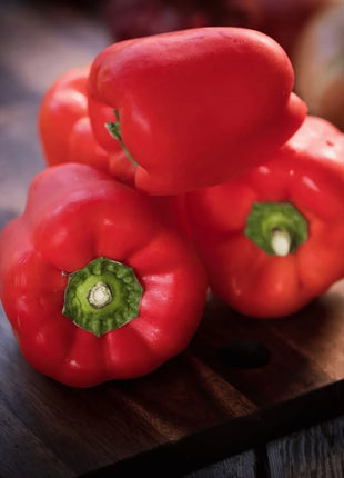 Yolo Wonder Bell Pepper – 30 Seeds