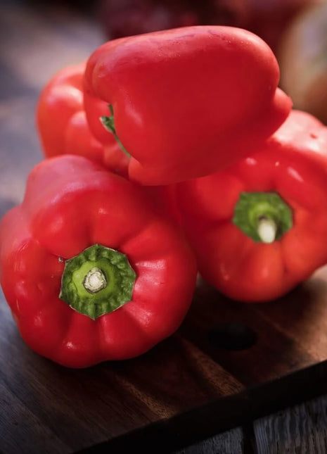 Yolo Wonder Bell Pepper – 30 Seeds