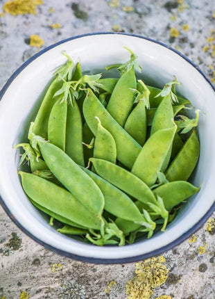 Sugar Daddy Peas – 20 Seeds