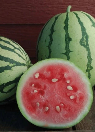 Dixie Queen Watermelon – 25 Seeds