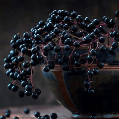 Collection image for: Elderberry