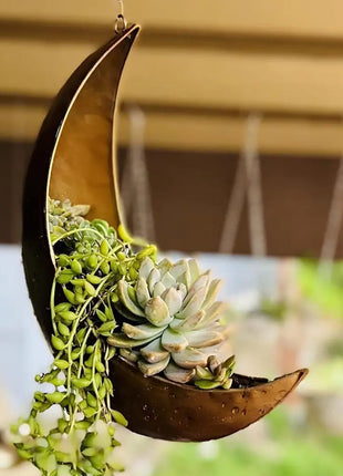 Hanging Moon Planter - Moms Day Gifts for Women - Moon Room Decor - Unique Planters for Succulents,Air Plant, Cactus, Artificial Plants- Plant Lover Gifts - Boho,Hippie, Witchy, Birthdays Gifts