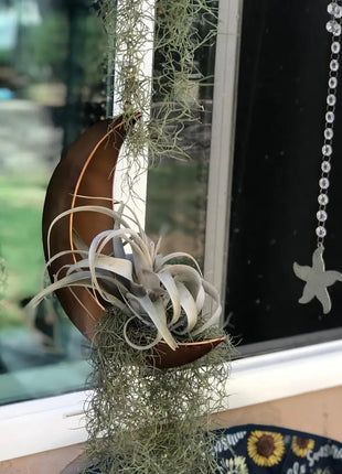 Hanging Moon Planter - Moms Day Gifts for Women - Moon Room Decor - Unique Planters for Succulents,Air Plant, Cactus, Artificial Plants- Plant Lover Gifts - Boho,Hippie, Witchy, Birthdays Gifts