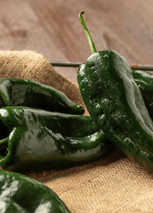 Pepper Seed Collection – 6 Essential Heirloom Peppers