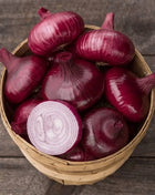 Cipollini Red Onion – 100 Seeds