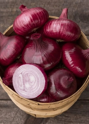 Cipollini Red Onion – 100 Seeds