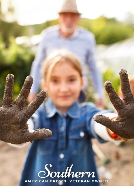 Kids Garden Seed Collection – 10 Varieties
