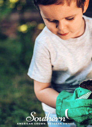 Kids Garden Seed Collection – 10 Varieties