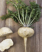 Maca – 25 Seeds