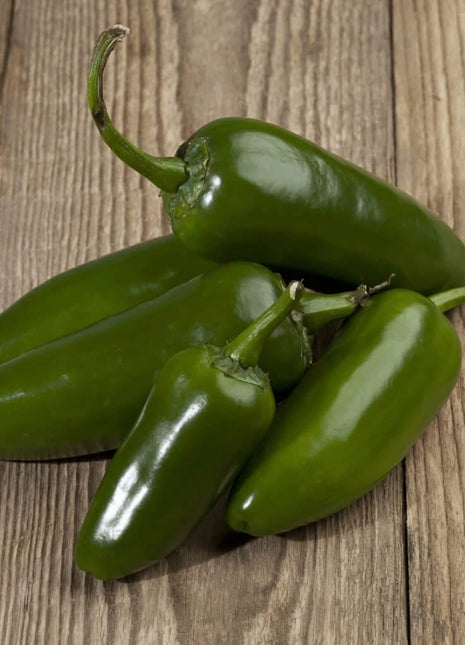 Jalapeño Early Pepper – 25 Seeds