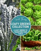 Leafy Greens Seed Collection – 6 Varieties