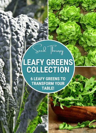 Leafy Greens Seed Collection – 6 Varieties
