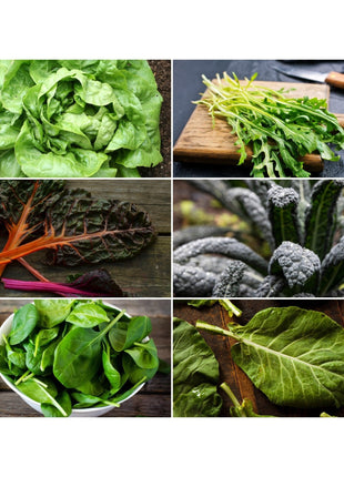Leafy Greens Seed Collection – 6 Varieties