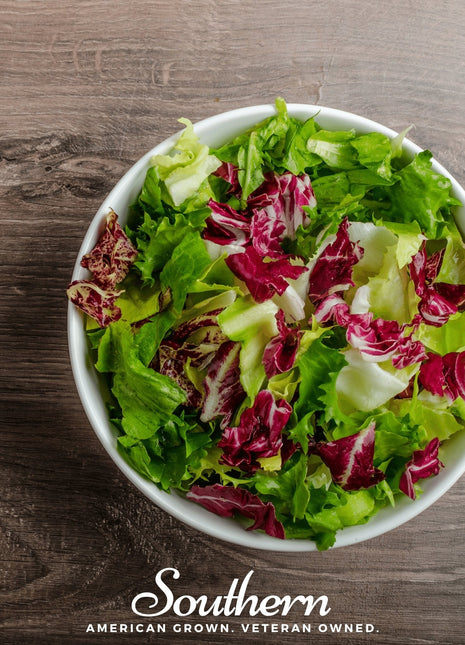 Mesclun Mix Lettuce – 500 Seeds