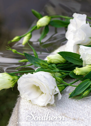 Sapphire White Lisianthus – 25 Seeds