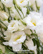 Sapphire White Lisianthus – 25 Seeds