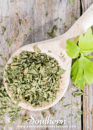 Lovage – 50 Seeds