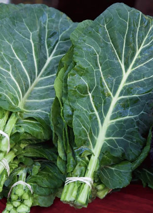Georgia Collard Greens – 100 Seeds