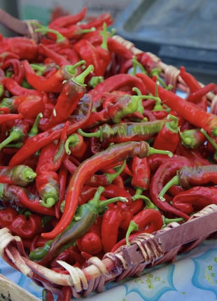 Jimmy Nardello's Pepper – 25 Seeds