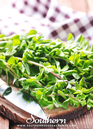 Sweet Marjoram – 100 Seeds