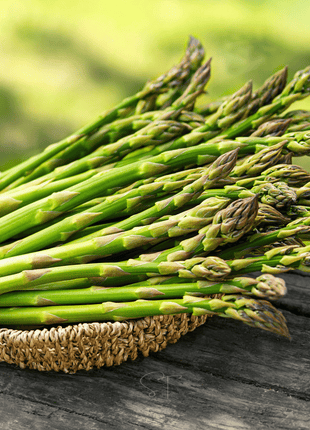 Mary Washington Asparagus – 50 Seeds