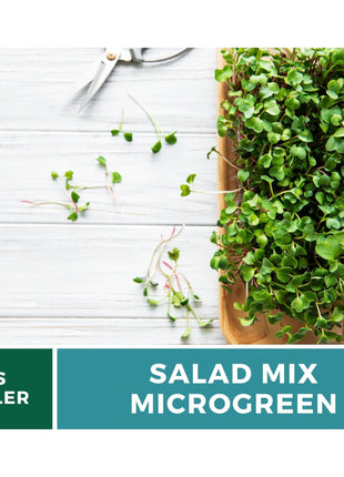 Salad Mix Microgreen – 5 Variety Mix – 8 grams