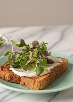Southern Mild Microgreen Mix – 8 grams