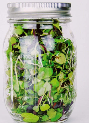 Southern Mild Microgreen Mix – 8 grams