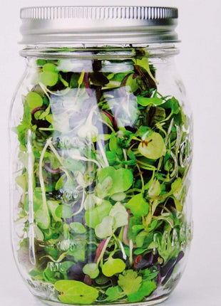 Southern Spice Mix Microgreens – 8 grams