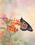 Tropical Milkweed – 50 Seeds
