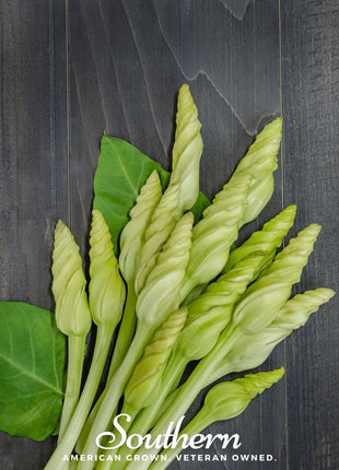 Moonflower – 25 Seeds